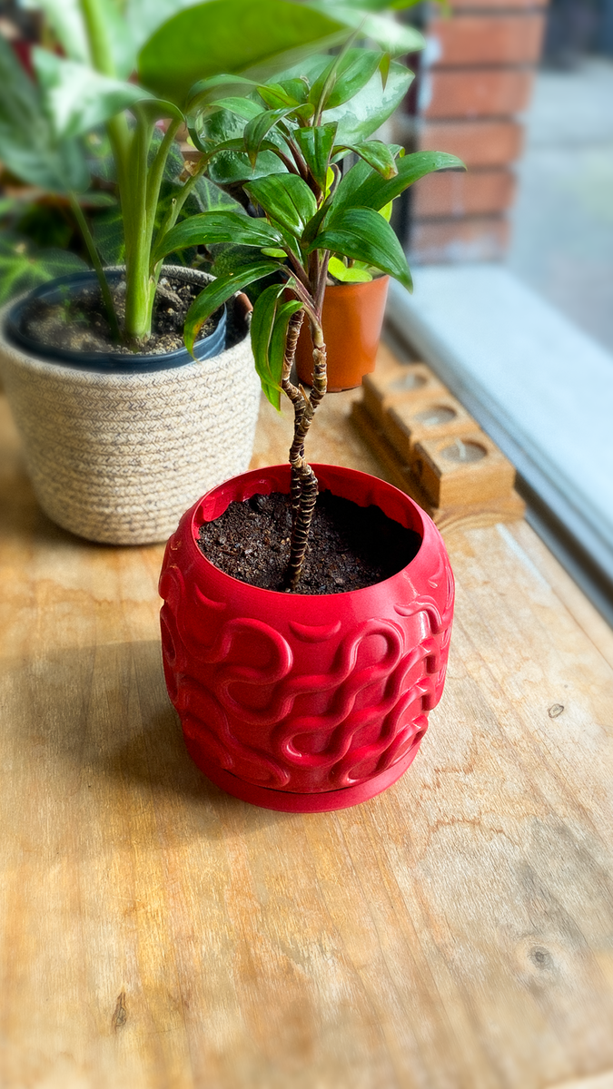 SEAMLESS PLANTER 3 1920